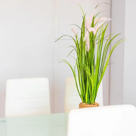 Atlantic Sky Panorama